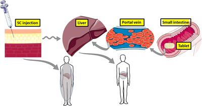 The Centenary of the Discovery of Insulin: An Update on the Quest for Oral Delivery